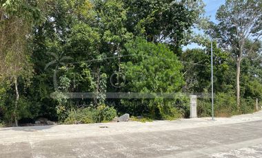 VERDADERA OPORTUNIDAD TERRENO ALDEA UMM