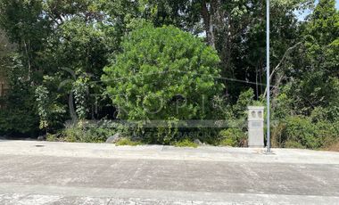 VERDADERA OPORTUNIDAD TERRENO ALDEA UMM