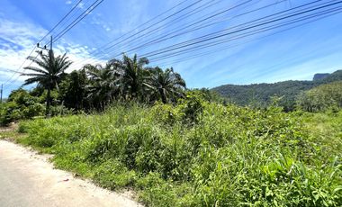 Half rai of mountain scenery near International School land for sale in Nong Thale, Krabi