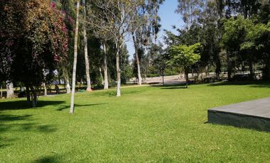 Un oasis de paz y tranquilidad a solo pasos del mar