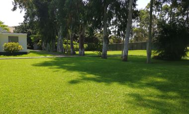 Un oasis de paz y tranquilidad a solo pasos del mar