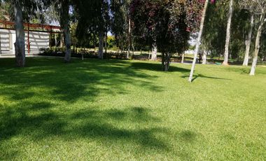 Un oasis de paz y tranquilidad a solo pasos del mar