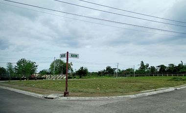 For Sale 191 Sqm Buildable Residential Lot in Cordova, Cebu