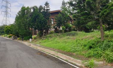 FOR SALE Hillside at Tagaytay Highlands with Elevation