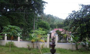 BEACH HOUSE FOR SALE IN NEGROS ORIENTAL ID 14242