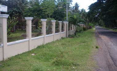 BEACH HOUSE FOR SALE IN NEGROS ORIENTAL ID 14242