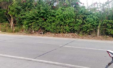 FOR SALE - Commercial Lot in Dao. Panglao, Bohol