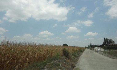 Lot for Sale in Mexico Arayat, Pampanga