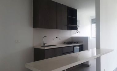 45105 Apartamento en arriendo en el sector Camino Verde