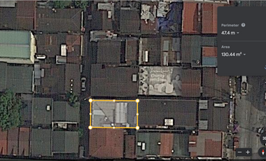 130 sqm Residential Lot For Sale in Sta Cruz, Manila