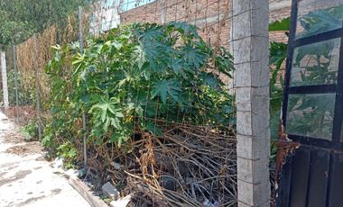 TERRENO EN VENTA CÉNTRICO EN TEHUACÁN