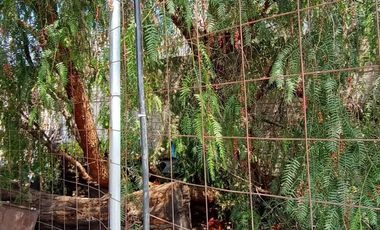 TERRENO EN VENTA CÉNTRICO EN TEHUACÁN