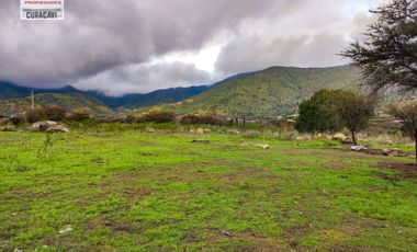 GRAN OPORTUNIDAD DE PARCELA PLANA EN CUYUNCAVI, CURACAVÍ. (PARCELA 239)