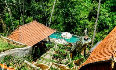 Ultimate Relaxation Jungle View Villa with Saltwater Infinity Pool in Ubud
