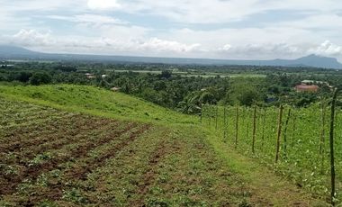 Batangas Farm Lot with View of Taal Lake