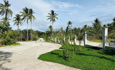 For Sale Residential Farm Lot in Magallanes Cavite 2450 sqm