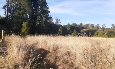 PARCELA EN VENTA CERCA DE OSORNO
