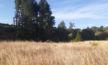 PARCELA EN VENTA CERCA DE OSORNO