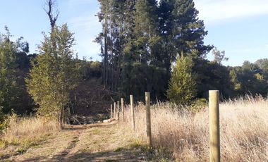 PARCELA EN VENTA CERCA DE OSORNO