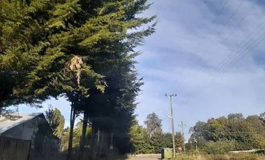 PARCELA EN VENTA CERCA DE OSORNO