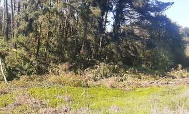 PARCELA EN VENTA CERCA DE OSORNO