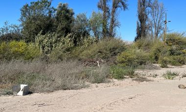 VENTA DE TERRENO - CALLEJON GUILLERMO TORO LORCA