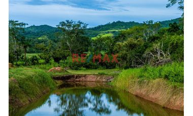 Se Vende Terreno En Tarapoto