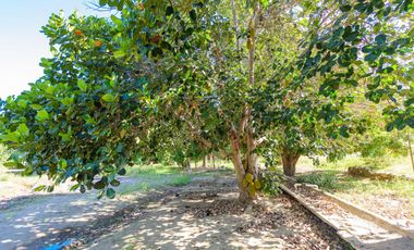 Casa cerca de la playa, alberca común, en venta, El Pescadero, Todos Santos