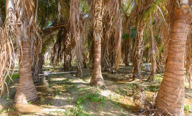 Casa cerca de la playa, alberca común, en venta, El Pescadero, Todos Santos