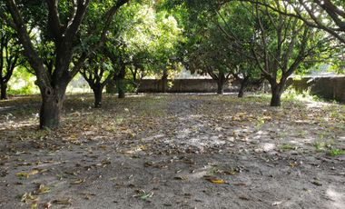 Lots in Mabiga, Mabalacat, Pampanga for Sale (near MacArthur Hway)