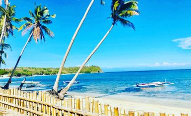 Beach Front For Sale in Siquijor!!