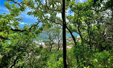 TERRENOS A PIE DE PLAYA CERCA DE HUATULCO