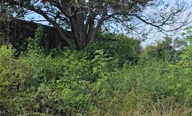 Vendo Casa con alberca para reparar con  Terreno bardeado, Alpuyeca Morelos