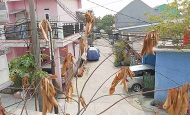 Rumah Jual Cepat Alinda Kencana Kaliabang Tengah Dkt Sumarecon Bebas Banjir