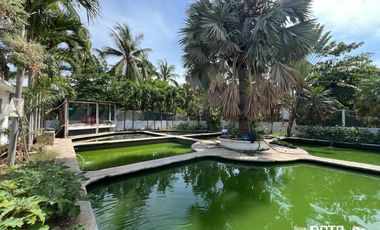 GRANJA EN VENTA EN COPALITA