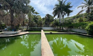 GRANJA EN VENTA EN COPALITA