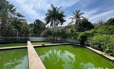 GRANJA EN VENTA EN COPALITA