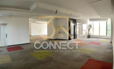 Edificio en Renta o Venta en Lomas 4C/6B - Excelente ubicación - 1,400m2