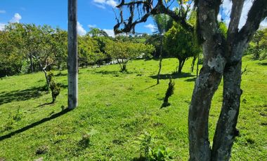 SE VENDE FINCA O LOTES  VEREDA SAN CRISTOBAL MONIQUIRA-BOYACA