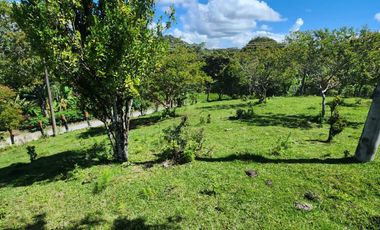 SE VENDE FINCA O LOTES  VEREDA SAN CRISTOBAL MONIQUIRA-BOYACA