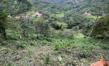 SE VENDE FINCA O LOTES  VEREDA SAN CRISTOBAL MONIQUIRA-BOYACA