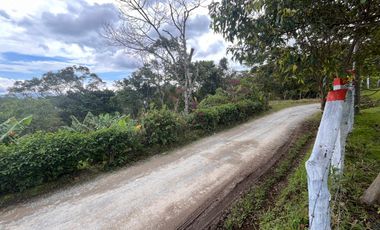 SE VENDE FINCA O LOTES  VEREDA SAN CRISTOBAL MONIQUIRA-BOYACA