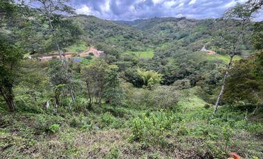 SE VENDE FINCA O LOTES  VEREDA SAN CRISTOBAL MONIQUIRA-BOYACA