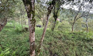 SE VENDE FINCA O LOTES  VEREDA SAN CRISTOBAL MONIQUIRA-BOYACA