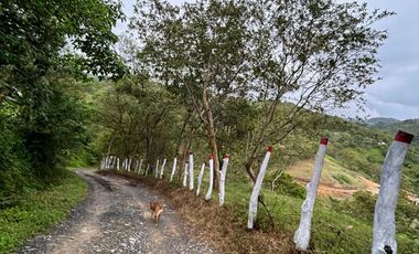 SE VENDE FINCA O LOTES  VEREDA SAN CRISTOBAL MONIQUIRA-BOYACA