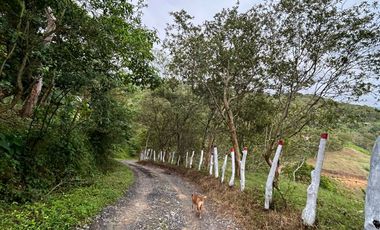 SE VENDE FINCA O LOTES  VEREDA SAN CRISTOBAL MONIQUIRA-BOYACA