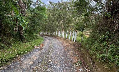 SE VENDE FINCA O LOTES  VEREDA SAN CRISTOBAL MONIQUIRA-BOYACA