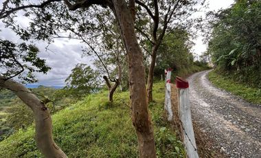 SE VENDE FINCA O LOTES  VEREDA SAN CRISTOBAL MONIQUIRA-BOYACA