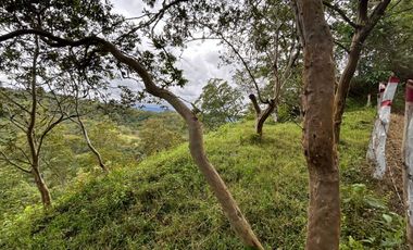 SE VENDE FINCA O LOTES  VEREDA SAN CRISTOBAL MONIQUIRA-BOYACA