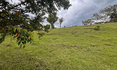 SE VENDE FINCA O LOTES  VEREDA SAN CRISTOBAL MONIQUIRA-BOYACA